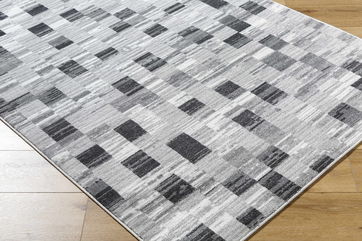 Alagan Medium Gray Area Rug