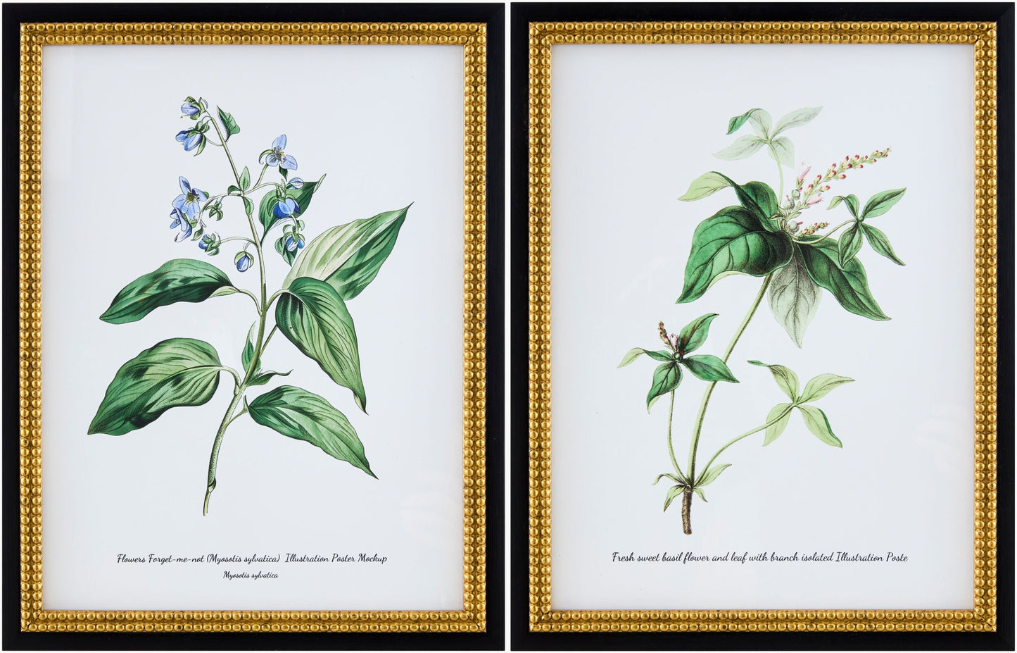 Soft Lime Green Rustic Framed Wall Art for modern gallery walls